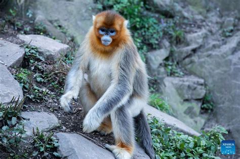 玉合公園如何敘說風情？縱觀其特色與魅力